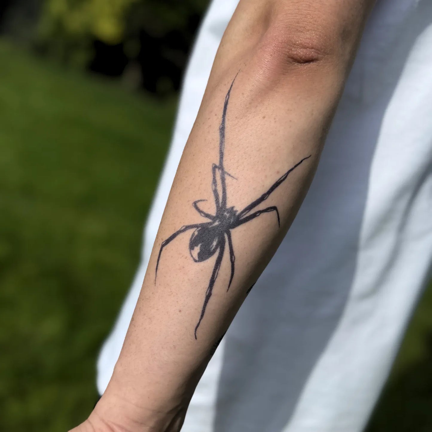 Creeping Spider